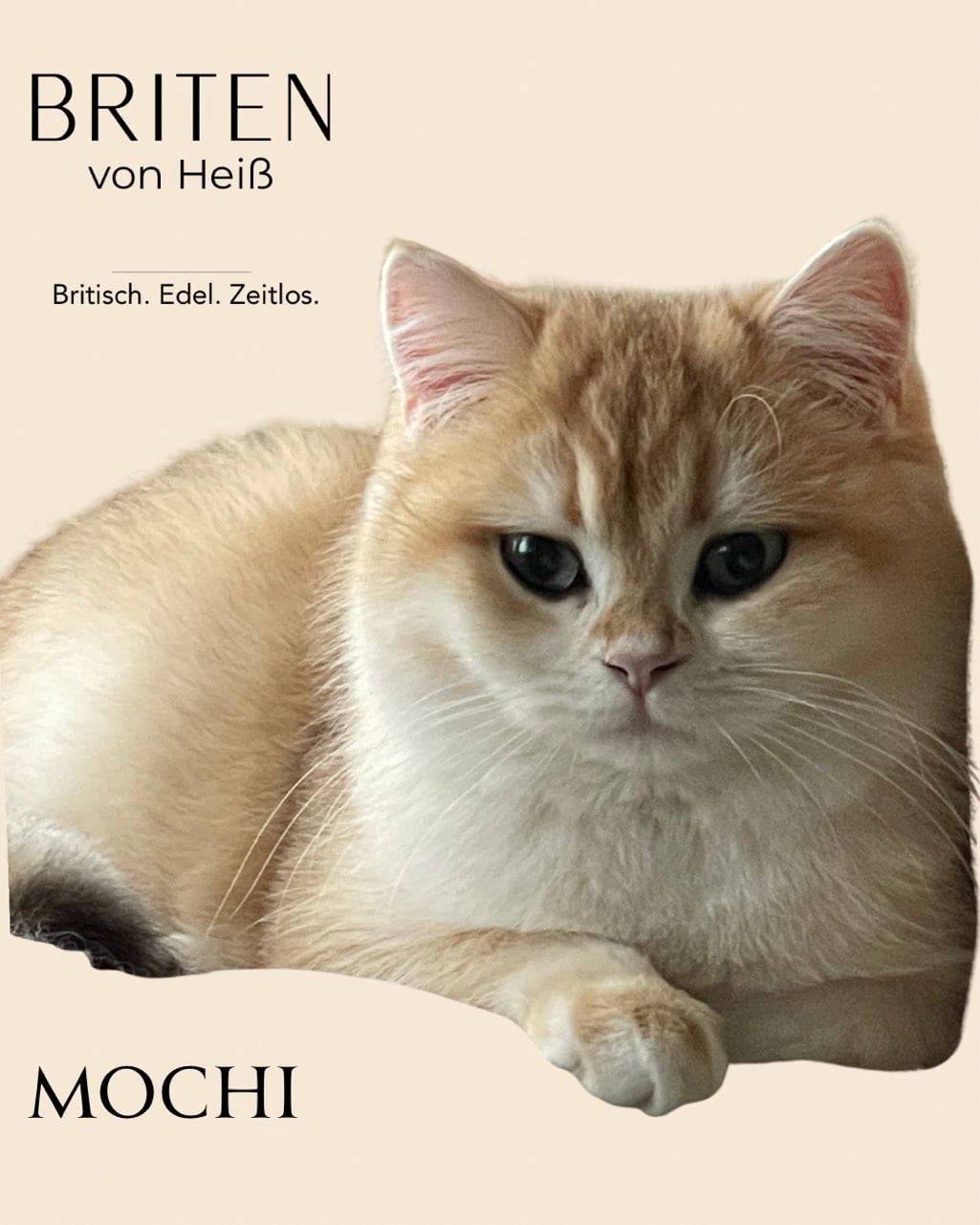 Mochi von Heiß